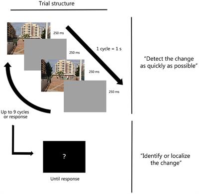 Scene-object semantic incongruity across stages of processing: From detection to identification and episodic encoding